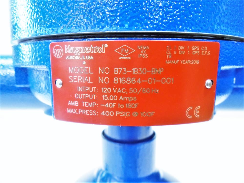 Magnetrol 1" NPT Sealed External Cage Liquid Level Switch, B73-1B30-BNP
